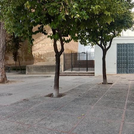 ヘレスCasa Mnuela - Centro Jerez - Parking Opcionalアパートメント エクステリア 写真