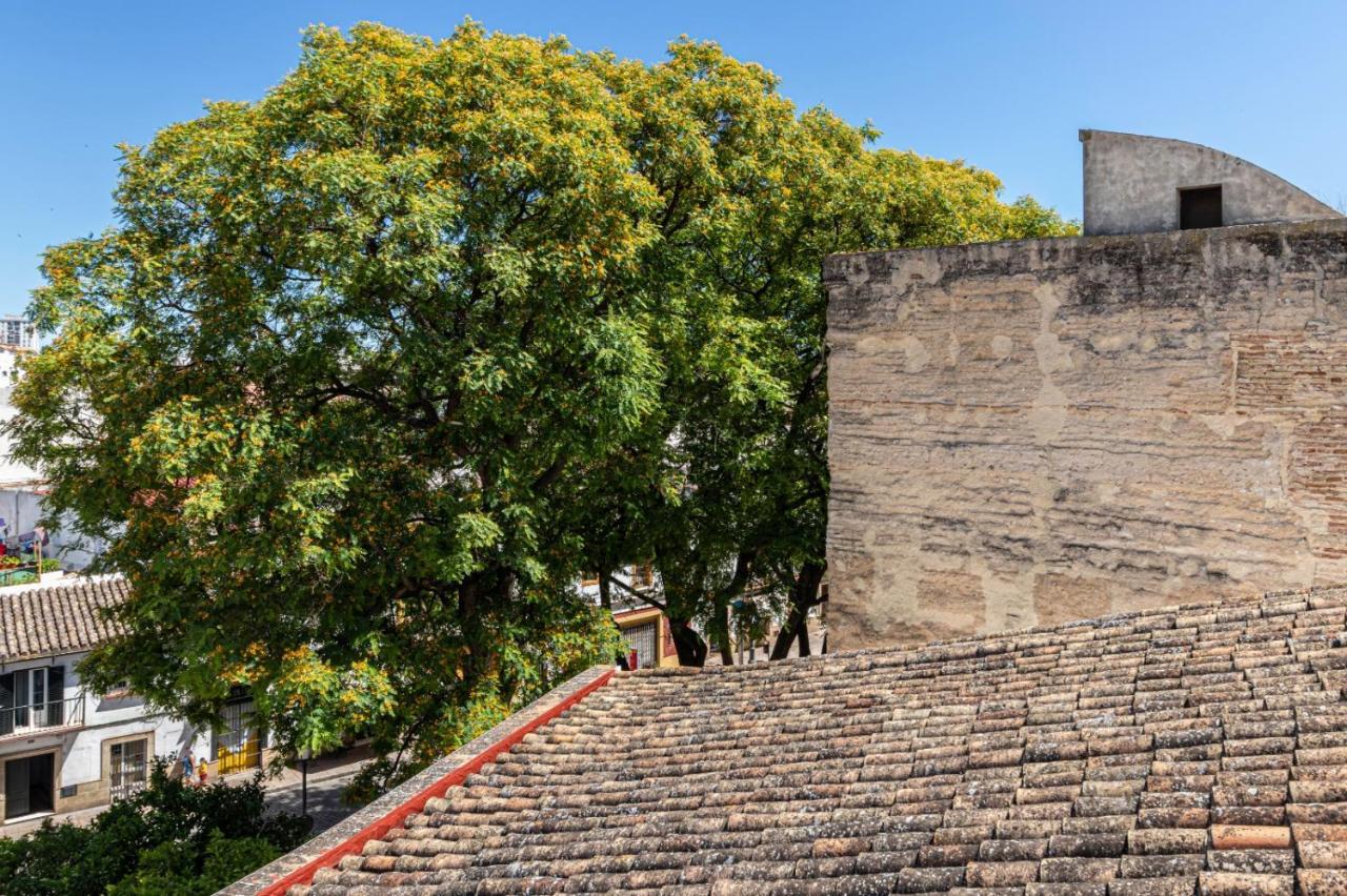 ヘレスCasa Mnuela - Centro Jerez - Parking Opcionalアパートメント エクステリア 写真