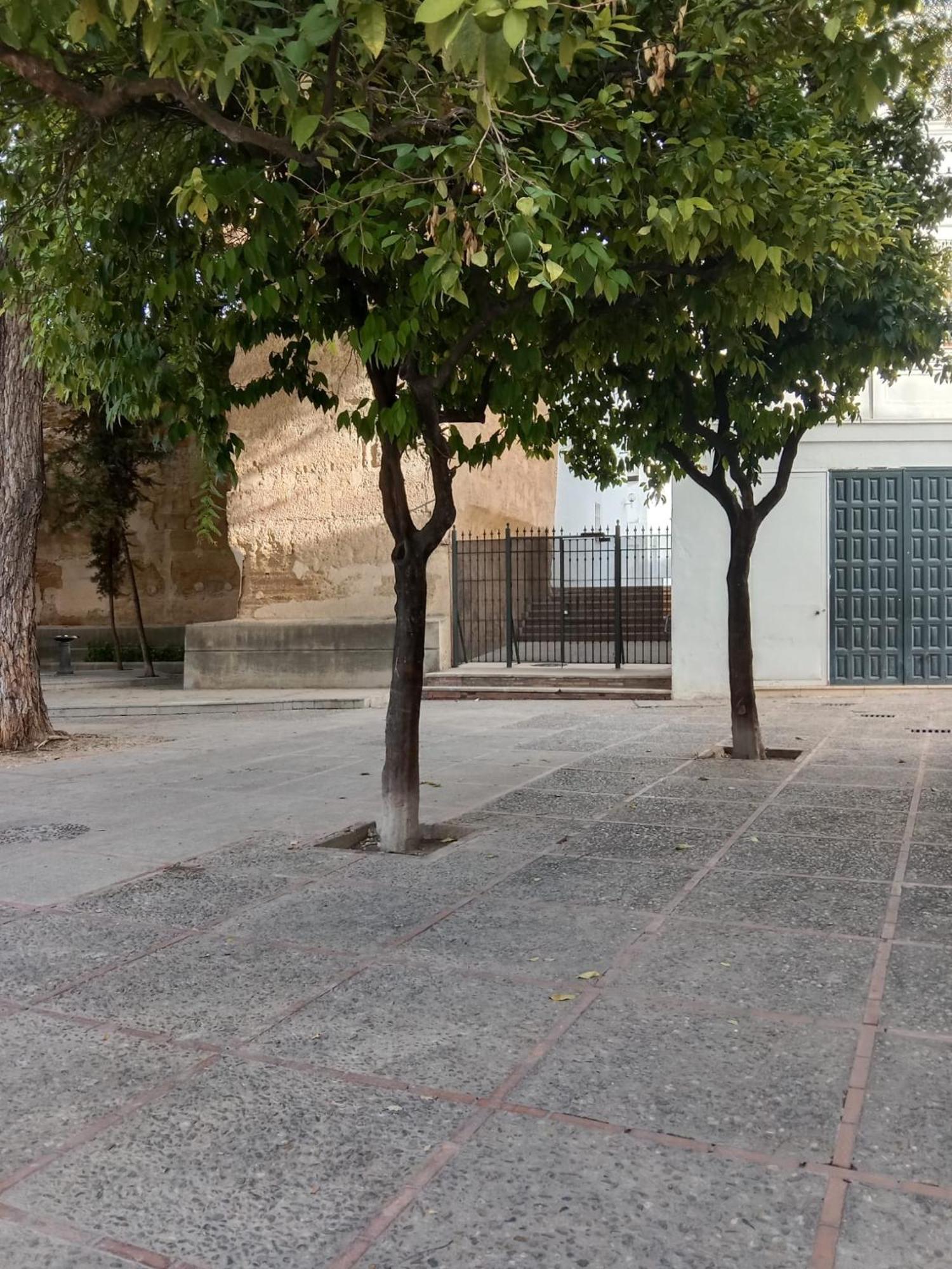 ヘレスCasa Mnuela - Centro Jerez - Parking Opcionalアパートメント エクステリア 写真